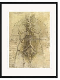 Gerahmter Kunstdruck Anatomie einer Frau
