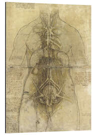 Magnettafel Anatomie einer Frau