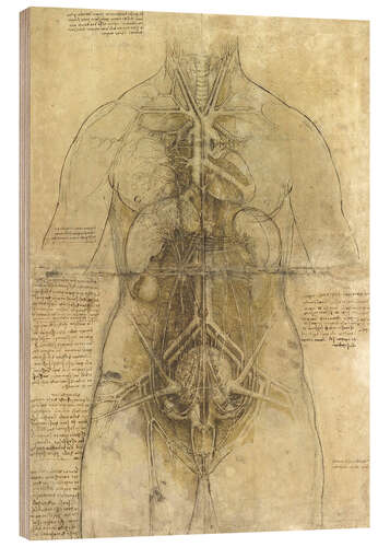 Wood print Anatomical Study