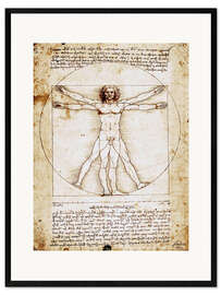 Framed art print Vitruvian man I