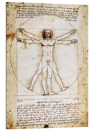 Gallery print Vitruvian man I