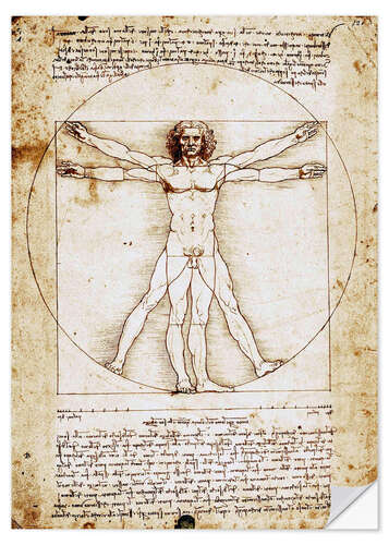 Wall sticker Vitruvian man I