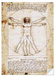 Wall sticker Vitruvian man I