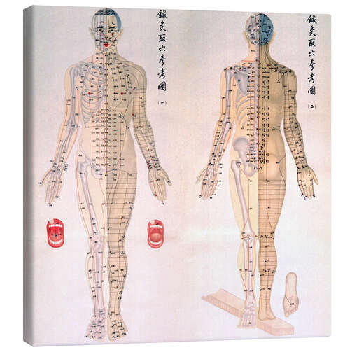 Canvas print Acupuncture map of the male body