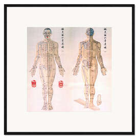 Ingelijste kunstdruk Acupuncture map of the male body