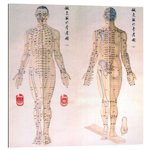 Quadro em plexi-alumínio Pontos de acupuntura num corpo mascolino