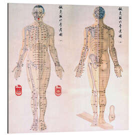 Magnettafel Akupunkturkarte des männlichen Körpers