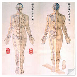 Sisustustarra Acupuncture map of the male body