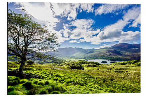 Stampa su alluminio Lake of Killarney