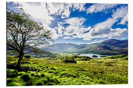 Aluminium print Lake of Killarney