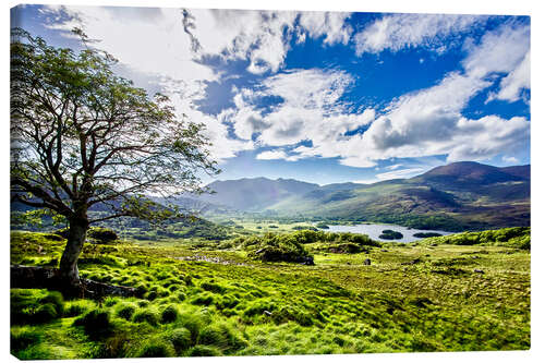 Canvas-taulu Lake of Killarney