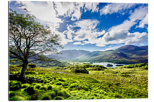 Quadro em plexi-alumínio Lake of Killarney