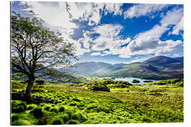 Gallery print Lake of Killarney