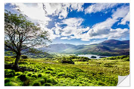 Adesivo murale Lake of Killarney