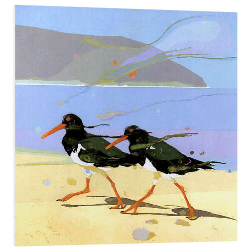 Foam board print Shorebirds 2