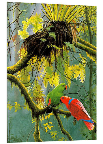 Quadro em PVC Parrots