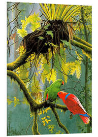 Foam board print Parrots