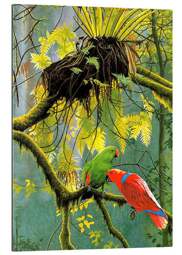 Gallery print Parrots