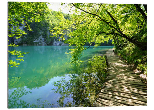 Stampa su alluminio Laghi di Plitvice