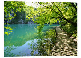 Stampa su PVC Laghi di Plitvice