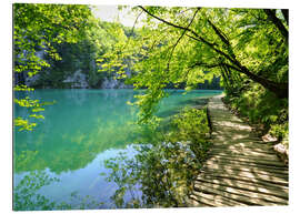 Tableau en plexi-alu Lacs de Plitvice