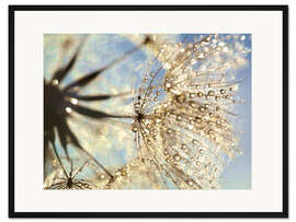 Gerahmter Kunstdruck Pusteblume Zauber der Natur