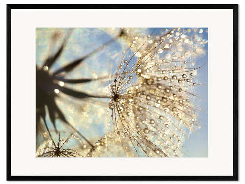 Impresión de arte enmarcada Dandelion magic of nature