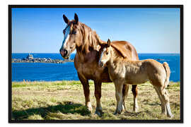 Gerahmter Kunstdruck Pferd mit Fohlen
