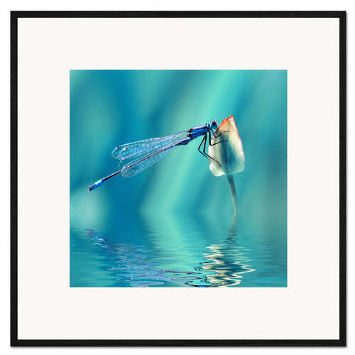 Stampa artistica con cornice Libellula con riflesso