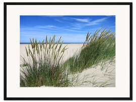 Gerahmter Kunstdruck Blühendes Strandgras in der Düne
