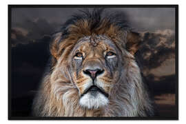 Gerahmter Kunstdruck Auge in Auge mit dem König