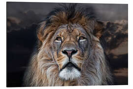 Magnettafel Auge in Auge mit dem König