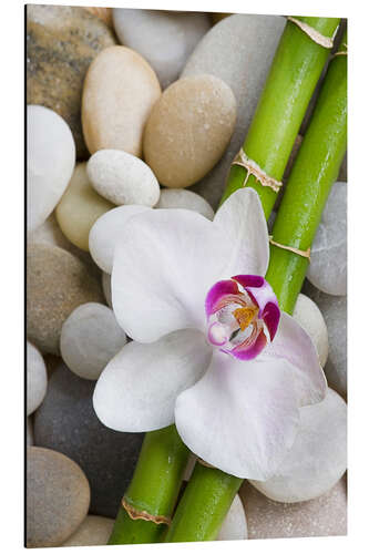 Aluminium print Bamboo and orchid