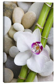 Tableau sur toile  Bambous et orchidée - Andrea Haase Foto