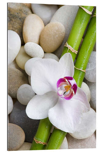 Gallery print Bamboo and orchid