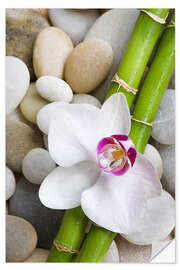 Selvklebende plakat Bamboo and orchid