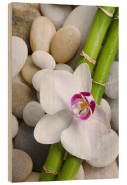Holzbild  Bambus und Orchidee - Andrea Haase Foto