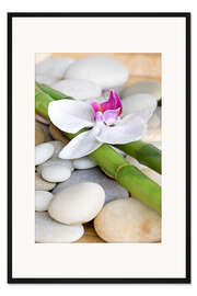 Gerahmter Kunstdruck Bambus und Orchidee II