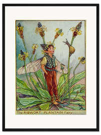 Gerahmter Kunstdruck Kleiner Elf im Sommer