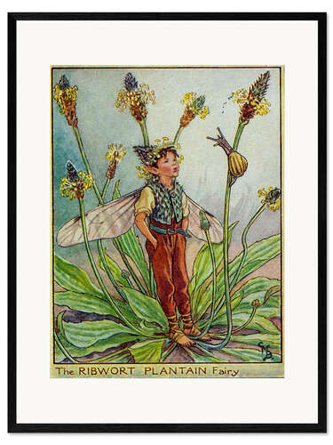Impresión de arte enmarcada Little Elf in summer