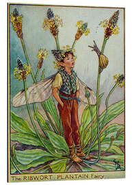 Magnettafel Kleiner Elf im Sommer