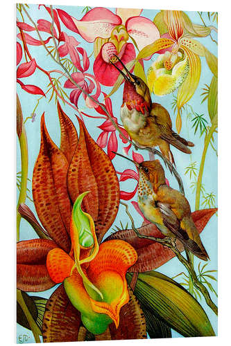 PVC-tavla Exotic birds on orchids