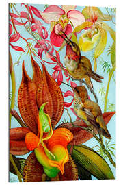 Galleriprint Exotic birds on orchids