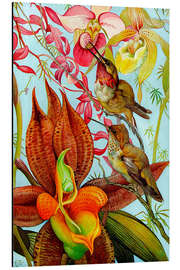 Magnettafel Exotische Vögel auf Orchideen