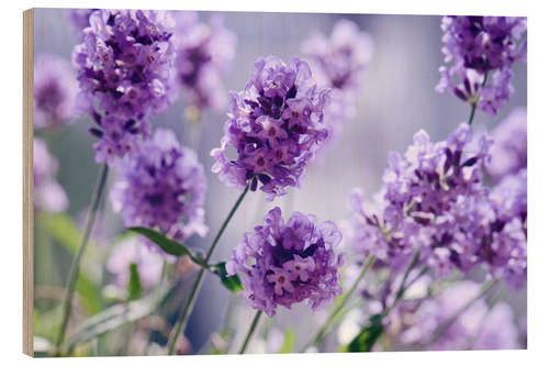 Wood print Lavender scent IV