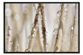 Gerahmter Kunstdruck Wassertropfen an Grashalmen I