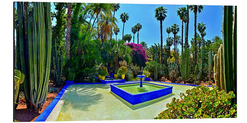 Aluminium print Majorelle garden in Marrakech