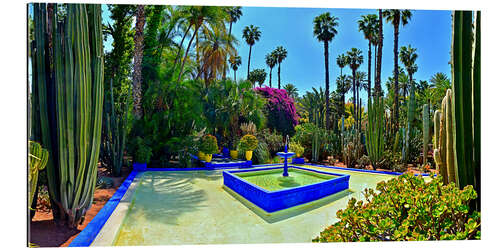 Galleritryk Majorelle garden in Marrakech