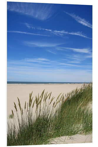 Foam board print Summer beach grass