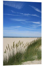 Foam board print Summer beach grass